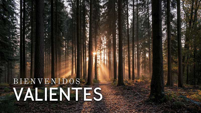 Te ayudamos a afrontar las dificultades, Psicólogos en Madrid